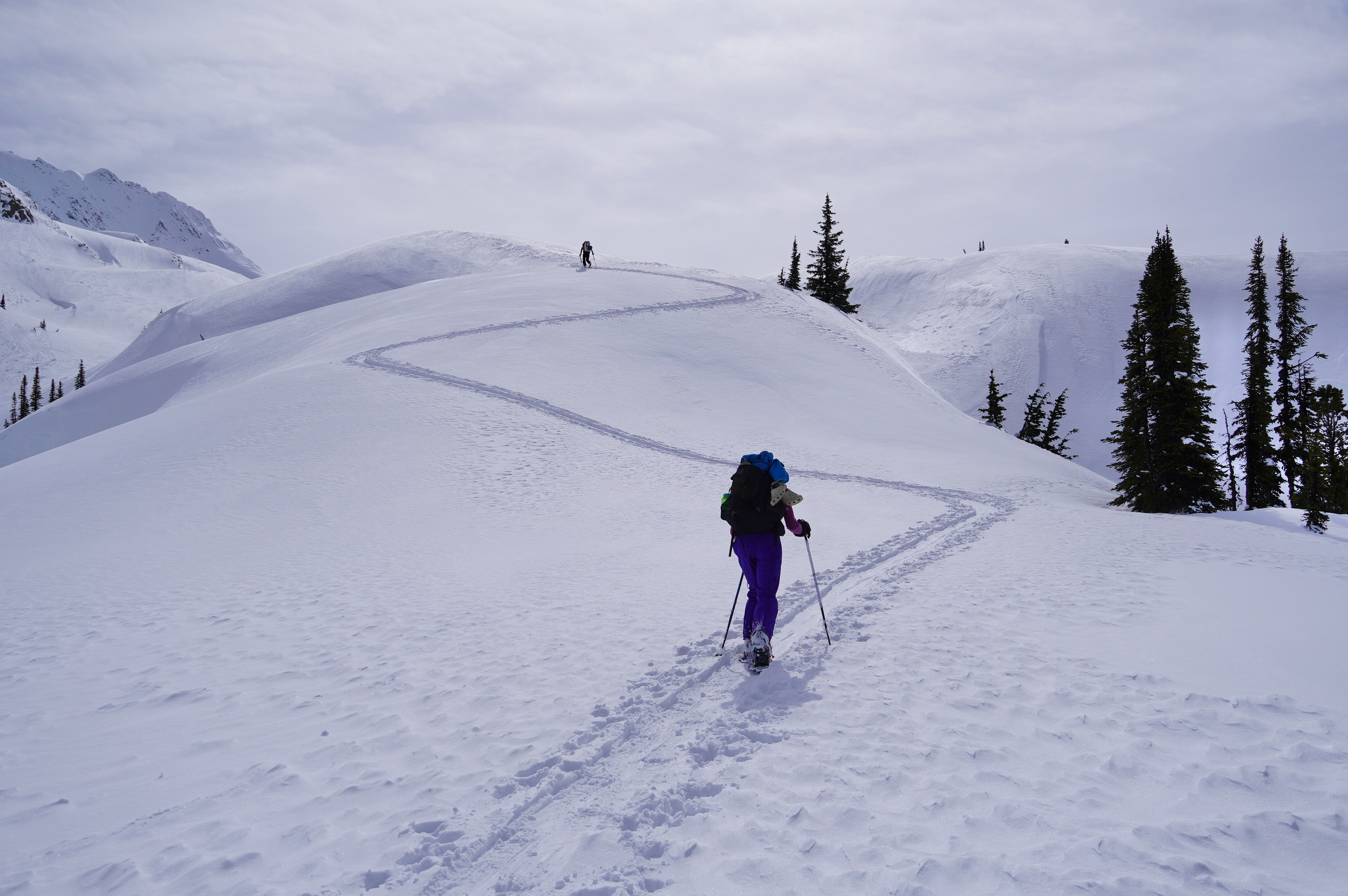 asulkan_rogers_pass - 9.png